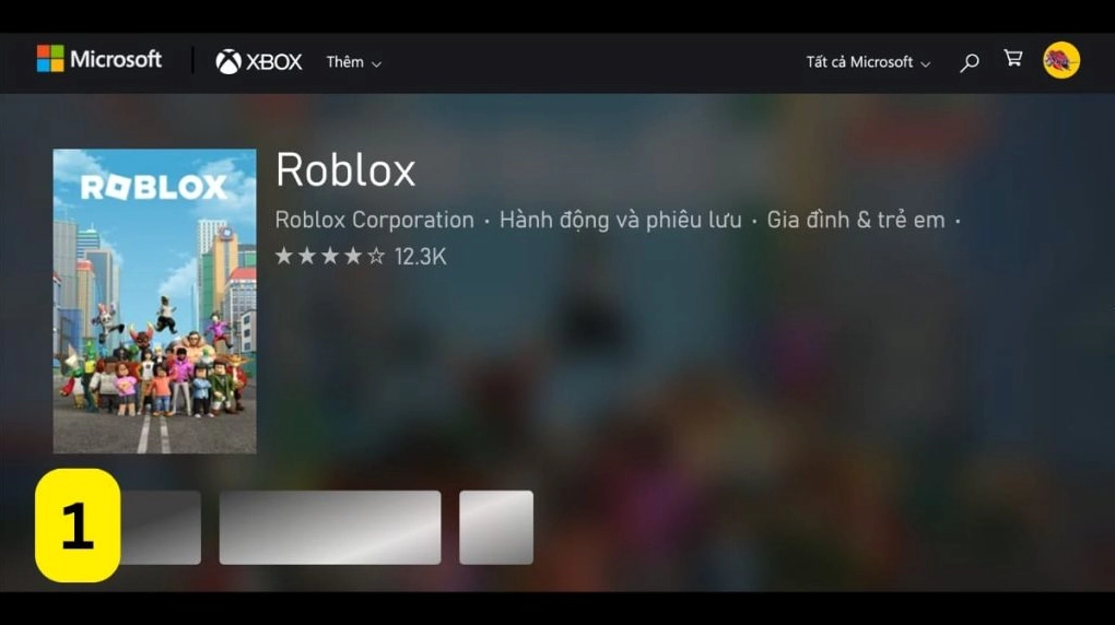 Hình ảnh minh họa kết quả của cách tải roblox trên máy tính