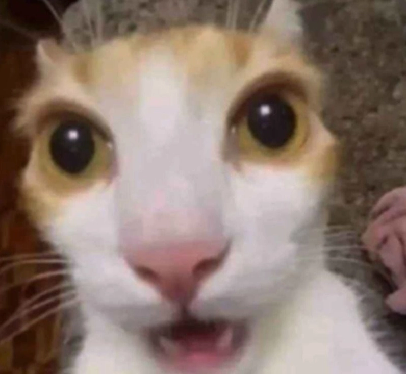 Hình ảnh minh họa ý nghĩa của meme sợ hãi trong giao tiếp