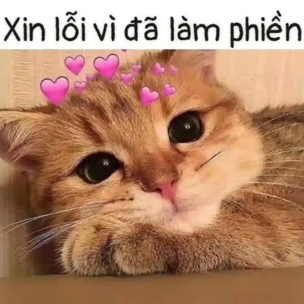 Tuyển tập meme dễ thương nhất năm 2026 khiến bạn tan chảy 19 Hình icon dễ thương khiến tin nhắn sống động