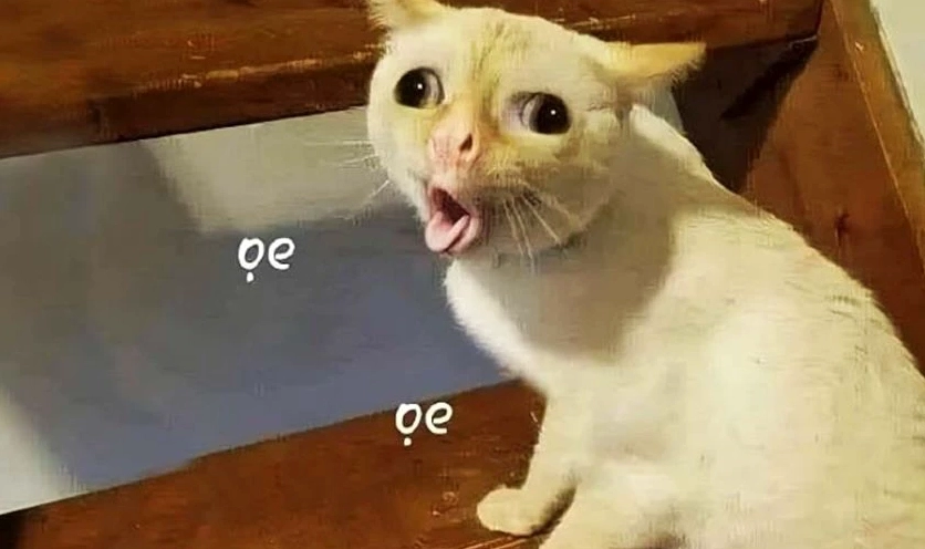 Hình meme hài hước vui nhộn cực xịn