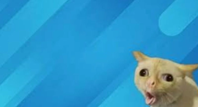 Trọn bộ hình nền máy tính meme siêu hài hước cực kỳ vô tri 11 Hình nền máy tính meme vô tri hài hước
