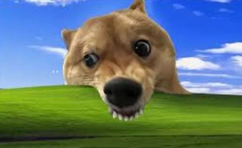 Trọn bộ hình nền máy tính meme siêu hài hước cực kỳ vô tri 9 Hình nền meme 3D sắc nét cho máy tính