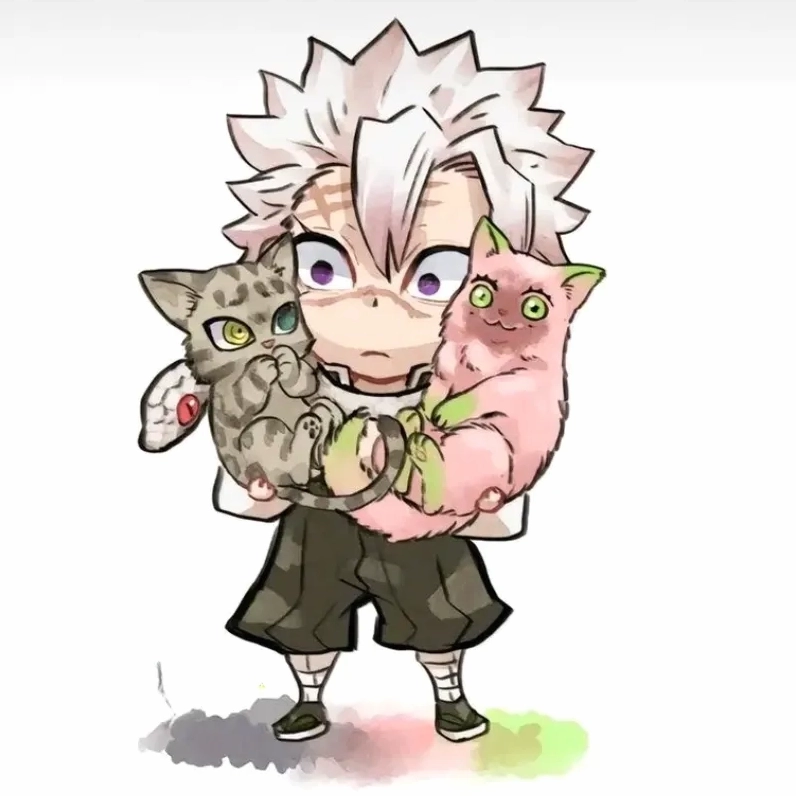 Bộ sưu tập ảnh anime Sanemi cực ngầu sắc nét mới nhất 20 Hình Sanemi chibi tí hon