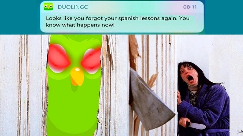 Bộ sưu tập ảnh duolingo meme bá đạo khiến bạn cười nghiêng ngả 5 Khám phá những bức ảnh meme duolingo hài hước nhất mọi thời đại