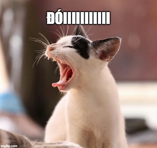 Khi meme trở thành bữa ăn meme há miệng ăn vô cùng dễ thương