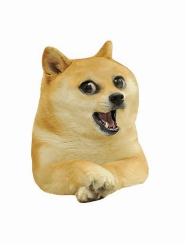 Khó nhịn cười với meme chó há miệng ngáo ngơ dễ thương