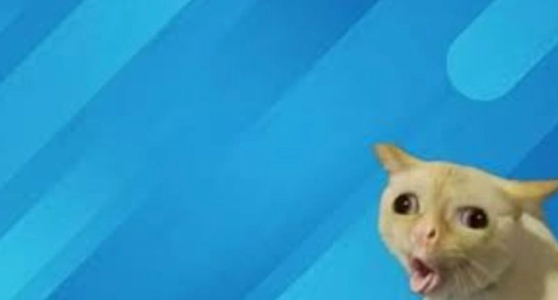 Tổng hợp bộ sưu tập hình nền meme cực lôi cuốn và độc lạ 14 Không gian nghệ thuật 3D mượt mà và cuốn hút