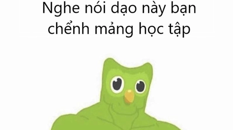 Bộ sưu tập ảnh duolingo meme bá đạo khiến bạn cười nghiêng ngả 7 Lạc lối trong meme duolingo meme nổi tiếng khắp mạng xã hội