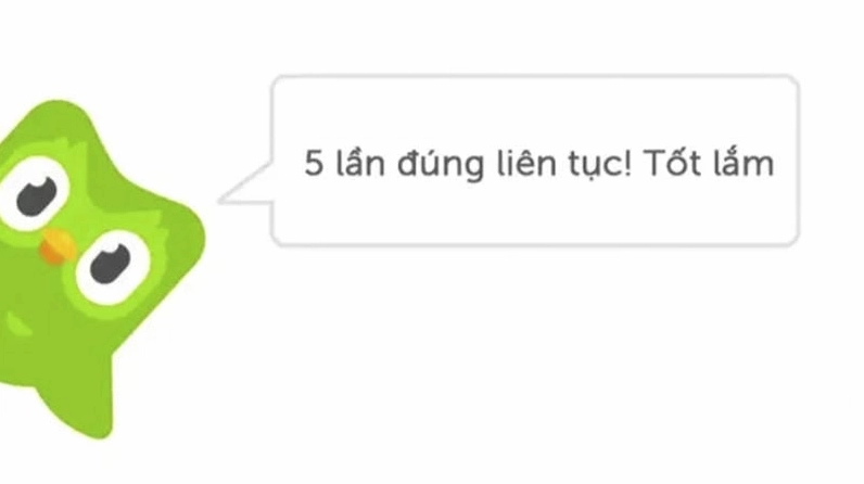 Bộ sưu tập ảnh duolingo meme bá đạo khiến bạn cười nghiêng ngả 2 Lạc lối trong thế giới meme duolingo vui nhộn và đầy màu sắc