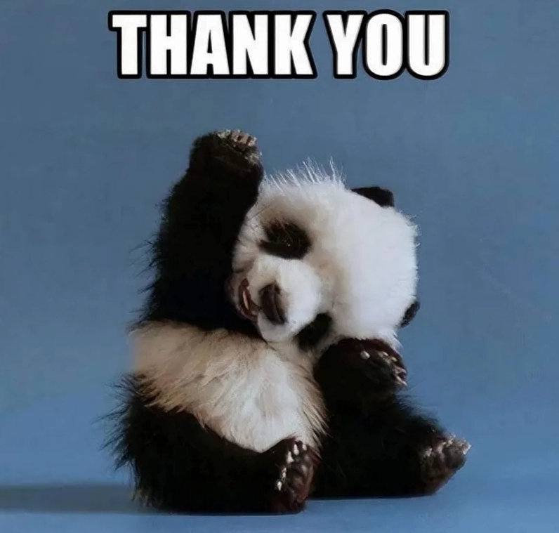 Trọn bộ ảnh meme thank you hài hước độc đáo nhất năm 2026 11 Lựa chọn ngay bức ảnh thank you meme funny để trêu chọc bạn bè một cách duyên dáng