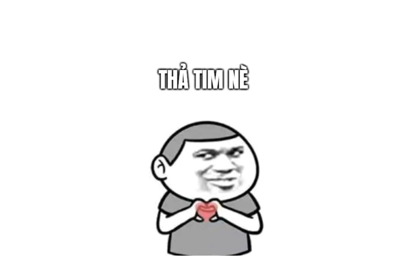 Meme chú mèo đội mũ len siêu dễ thương