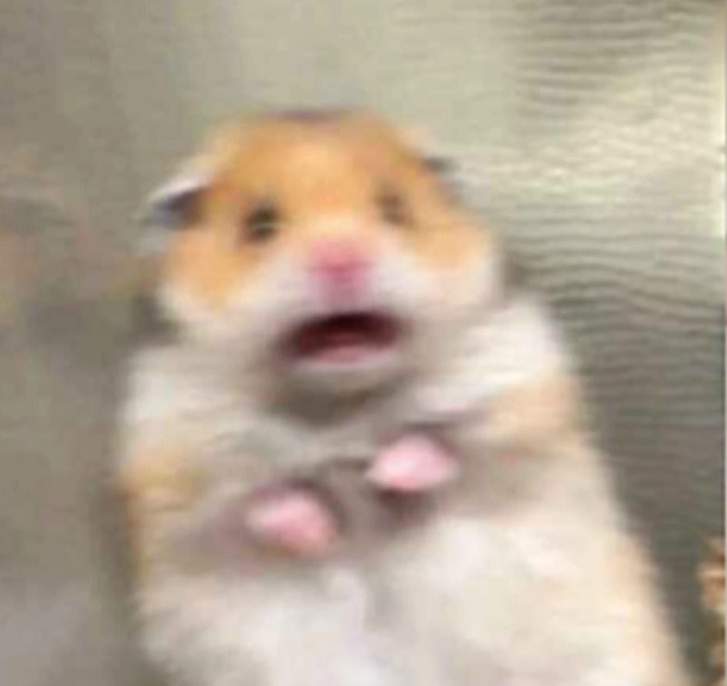 Meme động vật sợ hãi đầy tính giải trí