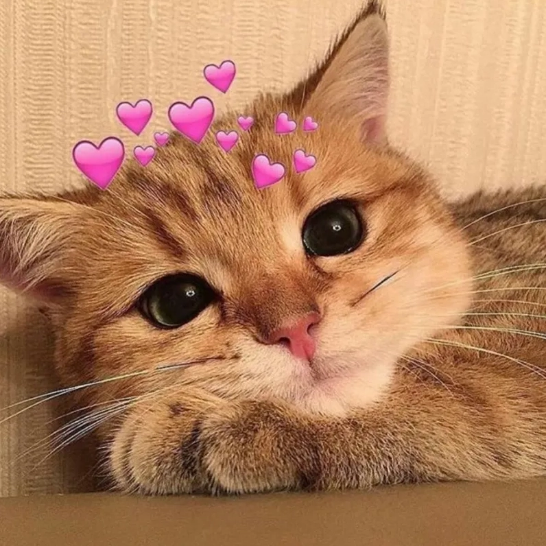 Tuyển tập meme dễ thương nhất năm 2026 khiến bạn tan chảy 13 Meme giận dỗi đáng yêu vô cùng