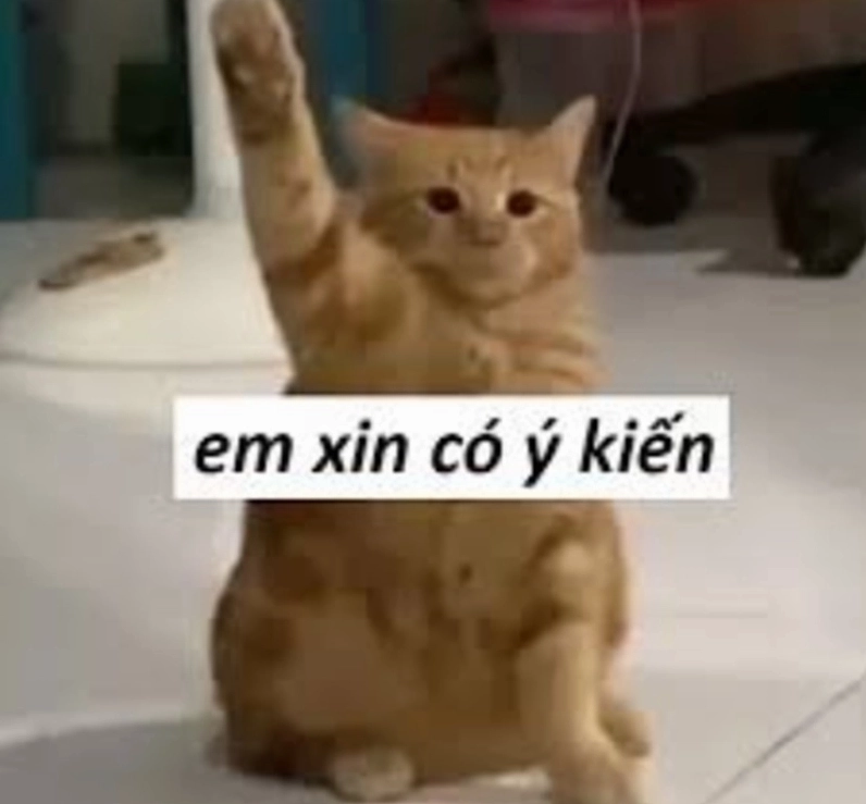 Trọn bộ hình nền máy tính meme siêu hài hước cực kỳ vô tri 20 Meme giơ tay cười chảy nước mắt làm hình nền