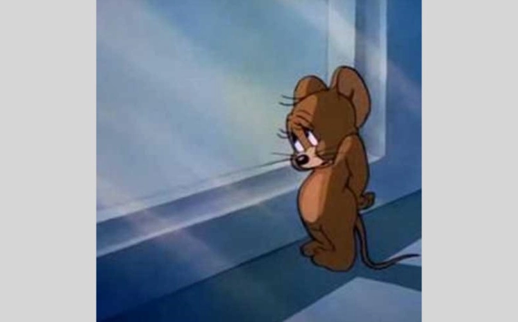 Meme Jerry ngượng ngùng đỏ mặt vô cùng đáng yêu