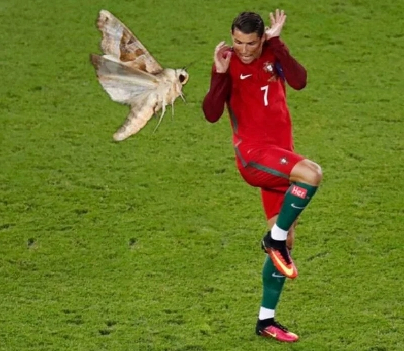 Meme ronaldo siu mang dấu ấn độc quyền làm nên thương hiệu từ Ronaldo