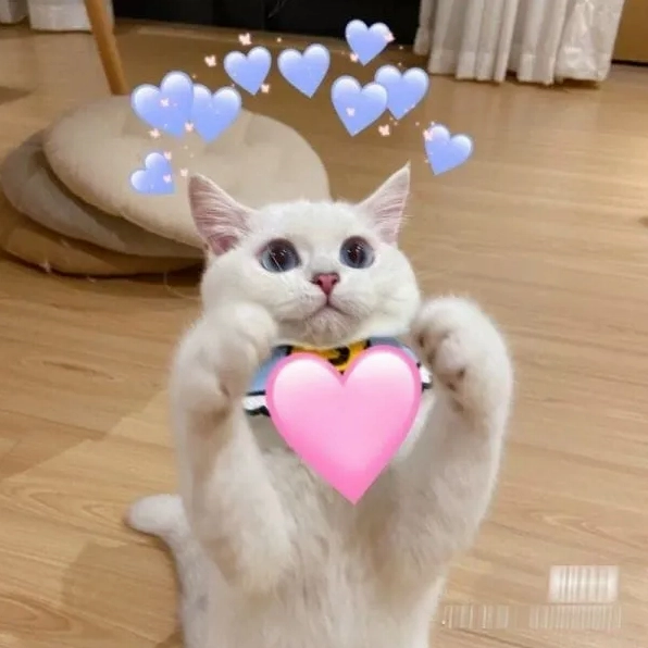 Tuyển tập meme dễ thương nhất năm 2026 khiến bạn tan chảy 6 Meme sinh động giúp cuộc trò chuyện thêm phần vui nhộn