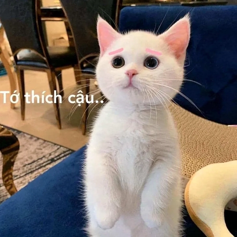 Meme thả thính là gì?