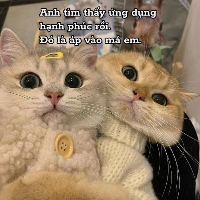 Bộ sưu tập meme tình yêu đáng yêu và hài hước nhất năm 2026 23 Meme tình yêu tâm trạng chất chứa nhiều nỗi niềm