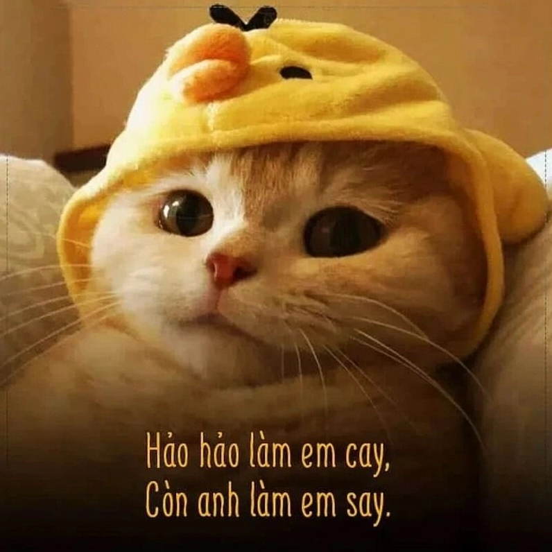Bộ sưu tập meme tình yêu đáng yêu và hài hước nhất năm 2026 19 Meme tình yêu tâm trạng mang đến sự đồng cảm sâu sắc