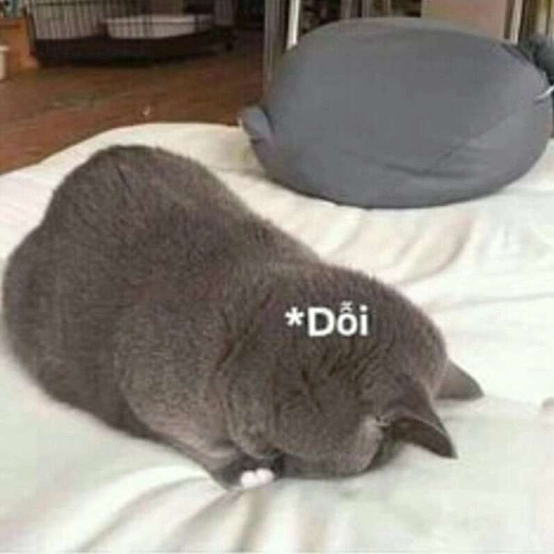 Bộ sưu tập meme tình yêu đáng yêu và hài hước nhất năm 2026 4 Meme tình yêu về động vật siêu đáng yêu và ngộ nghĩnh