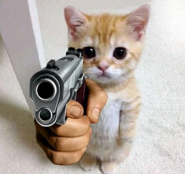 Mèo bắn súng meme khiến ai cũng bật cười