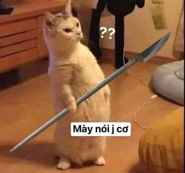 mèo cầm dao me me suy tư