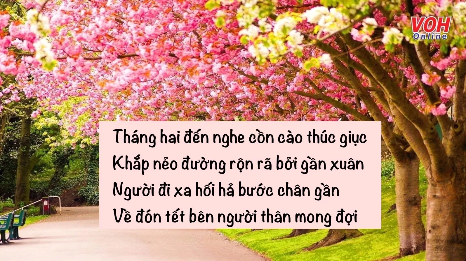 Bộ sưu tập hình ảnh cô gái tháng 2 rực rỡ và quyến rũ nhất 2026 16 Nét đượm buồn đầy chất thơ của thiếu nữ