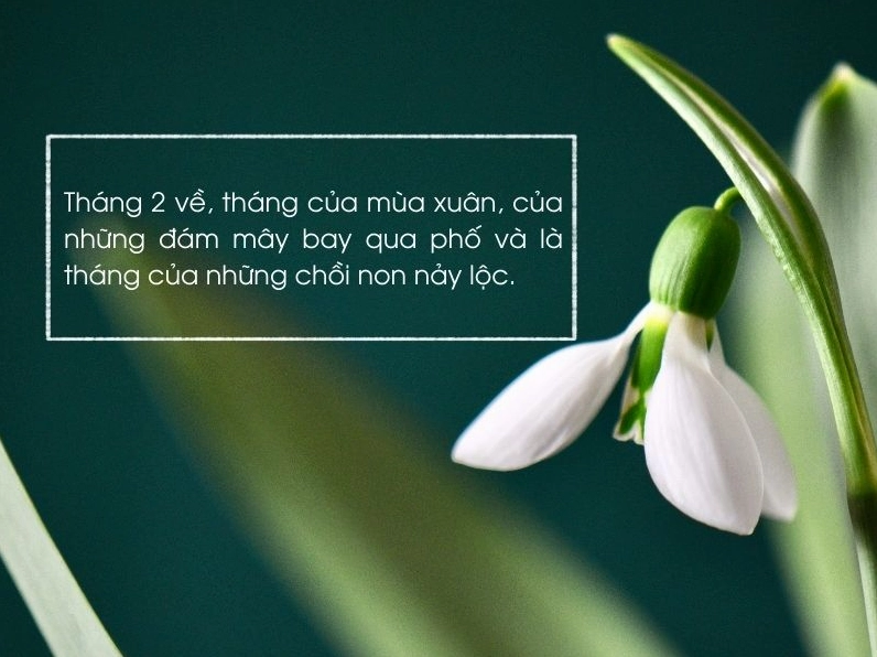 Bộ sưu tập hình ảnh cô gái tháng 2 rực rỡ và quyến rũ nhất 2026 3 Nét duyên dáng đằm thắm của cô nàng tháng 2