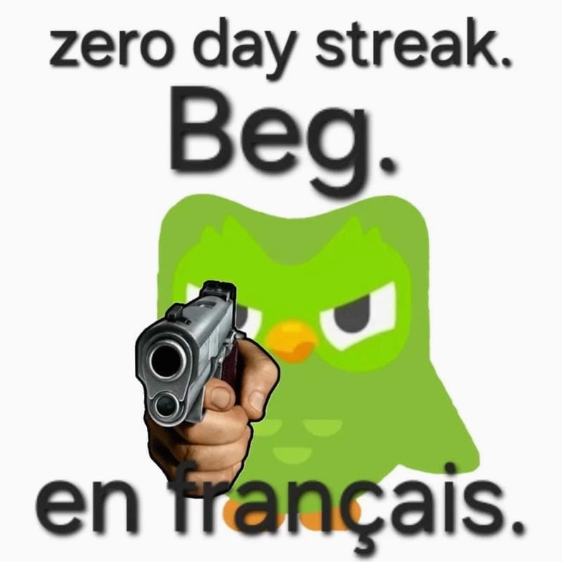 Bộ sưu tập ảnh duolingo meme bá đạo khiến bạn cười nghiêng ngả 6 Ngắm nhìn vẻ đẹp meme duolingo chế đầy sáng tạo và nghệ thuật