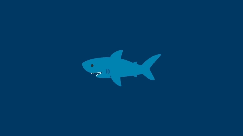 Nhan sắc xinh xắn độc đáo trong tấm ảnh hình nền cá mập cute