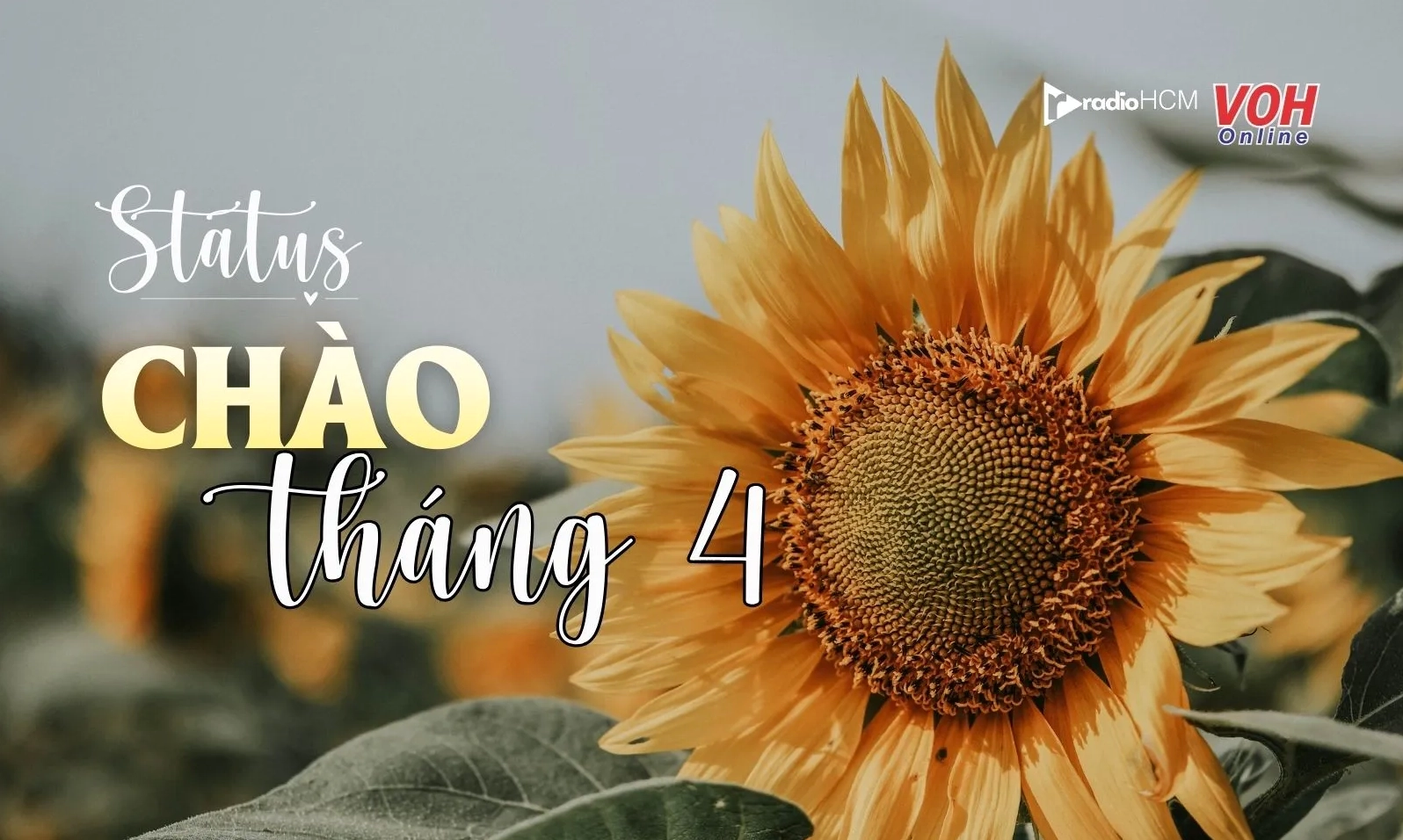 Bộ sưu tập hình ảnh cô gái tháng 2 rực rỡ và quyến rũ nhất 2026 5 Nụ cười tỏa nắng rạng rỡ chào đón tháng mới