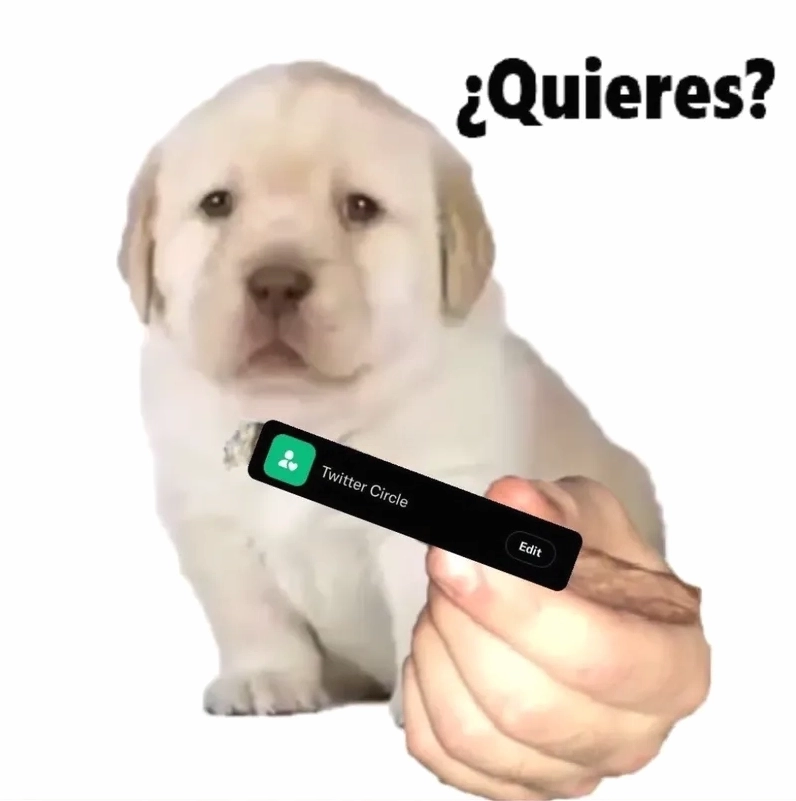 Bộ sưu tập quieres meme hài hước nhất khiến bạn không thể nhịn cười 15 Sự kết hợp hài hước tạo nên một bức ảnh quieres meme không thể nào quên