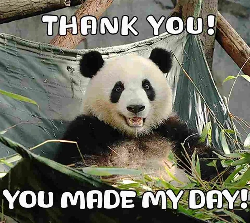 Trọn bộ ảnh meme thank you hài hước độc đáo nhất năm 2026 12 Tải ngay bức ảnh thank you meme để gửi đi lời cảm ơn độc đáo và sáng tạo