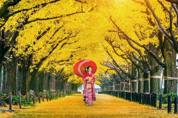 Thiếu nữ thướt tha trong bộ kimono dạo bước dưới hàng cây rực rỡ lá vàng