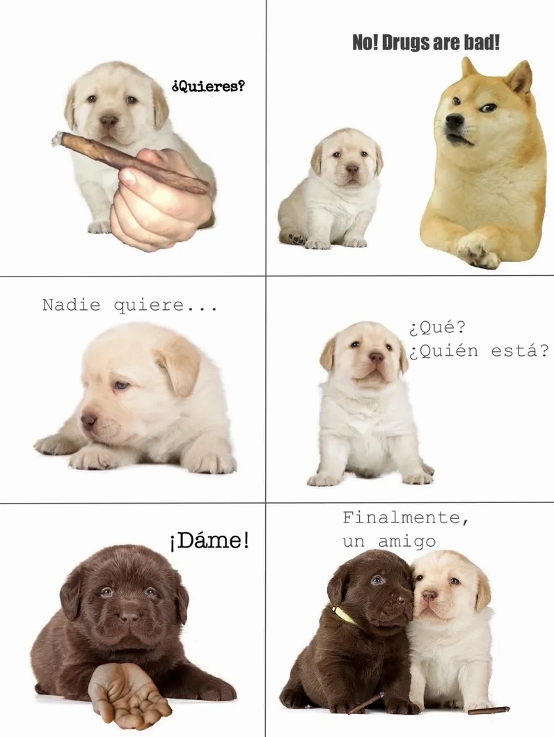 Bộ sưu tập quieres meme hài hước nhất khiến bạn không thể nhịn cười 12 Thử sức sáng tạo vô tận với những phiên bản quieres meme cực kỳ độc lạ