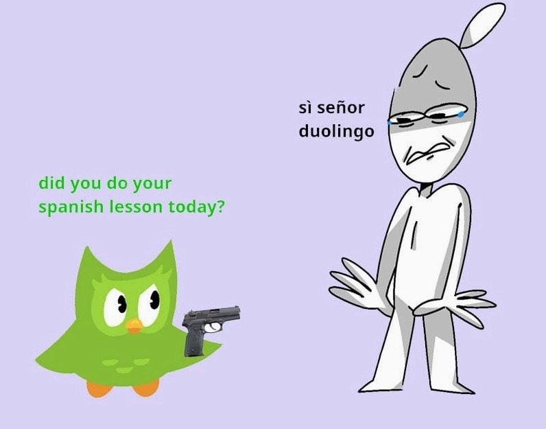 Bộ sưu tập ảnh duolingo meme bá đạo khiến bạn cười nghiêng ngả 1 Tìm hiểu sức hút của Duolingo meme qua góc nhìn hài hước