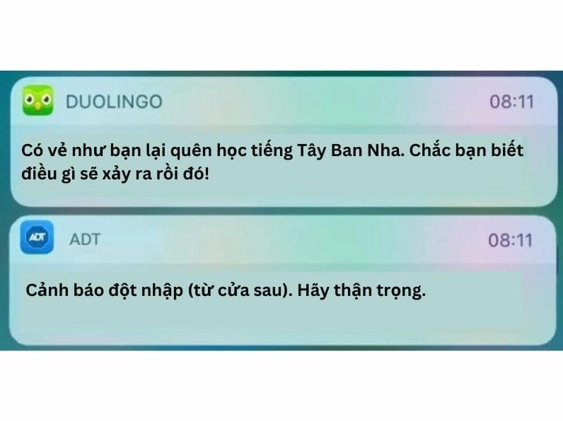 Bộ sưu tập ảnh duolingo meme bá đạo khiến bạn cười nghiêng ngả 11 Tìm về meme duolingo ngộ nghĩnh gợi nhớ những ngày đầu học tập