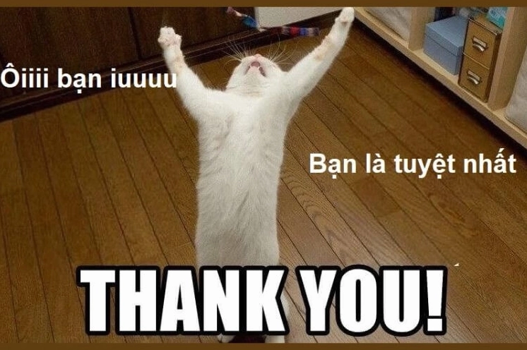 Tổng hợp các hình ảnh meme cảm ơn phổ biến và dễ thương nhất năm 2026