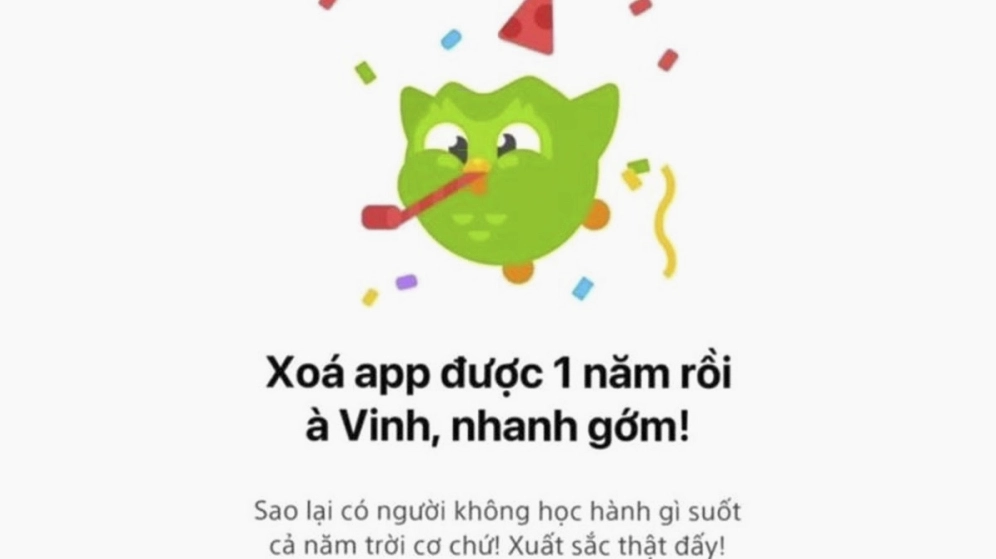 Bộ sưu tập ảnh duolingo meme bá đạo khiến bạn cười nghiêng ngả 19 Tự chế meme dễ dàng với duolingo meme template thỏa sức sáng tạo