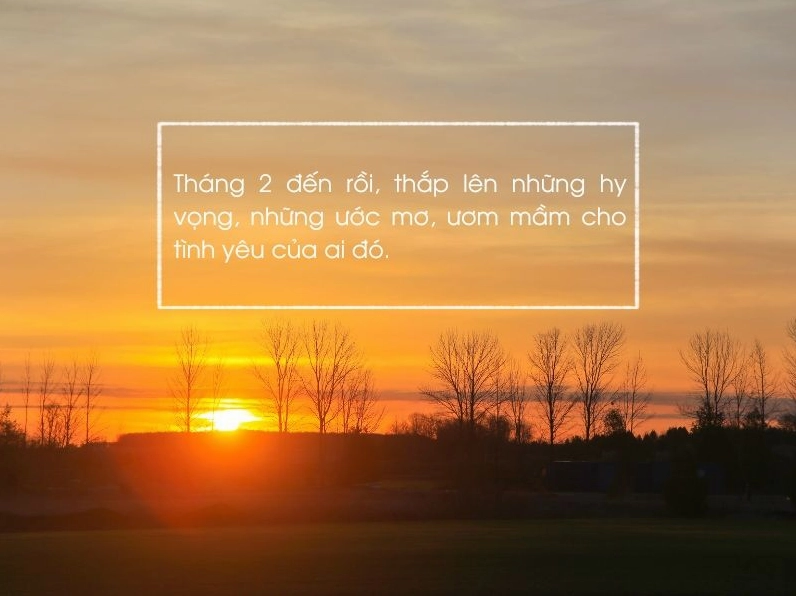 Bộ sưu tập hình ảnh cô gái tháng 2 rực rỡ và quyến rũ nhất 2026 2 Vẻ đẹp ngọt ngào của thiếu nữ tháng 2