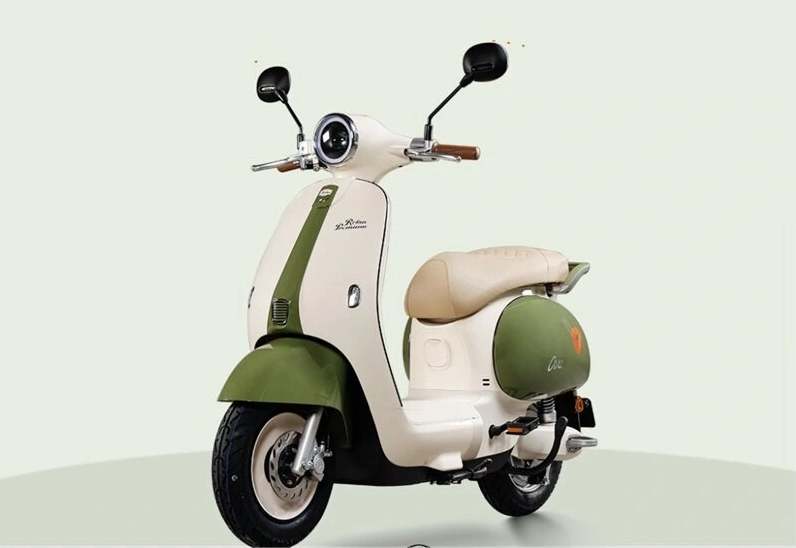 Tuyển tập hình ảnh cô gái cổ vũ bóng đá cuốn hút nhất 16 Xe máy điện thời trang dạo phố