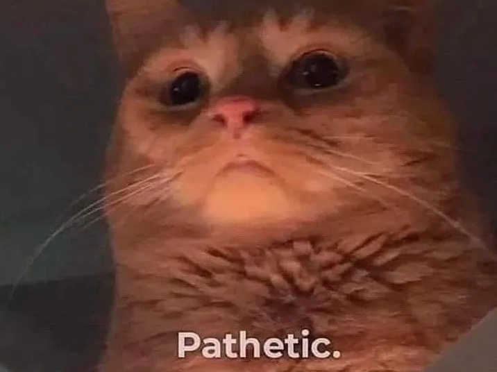 Bộ sưu tập ảnh pathetic meme khôi hài siêu độc lạ 11 Xem ngay những hình ảnh pathetic gif hài hước để mang lại một ngày làm việc vui vẻ