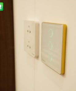 313408930 556076919855037 1472026114407531788 n 1