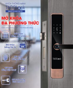 455915251 478664528263034 9008223244782189529 n