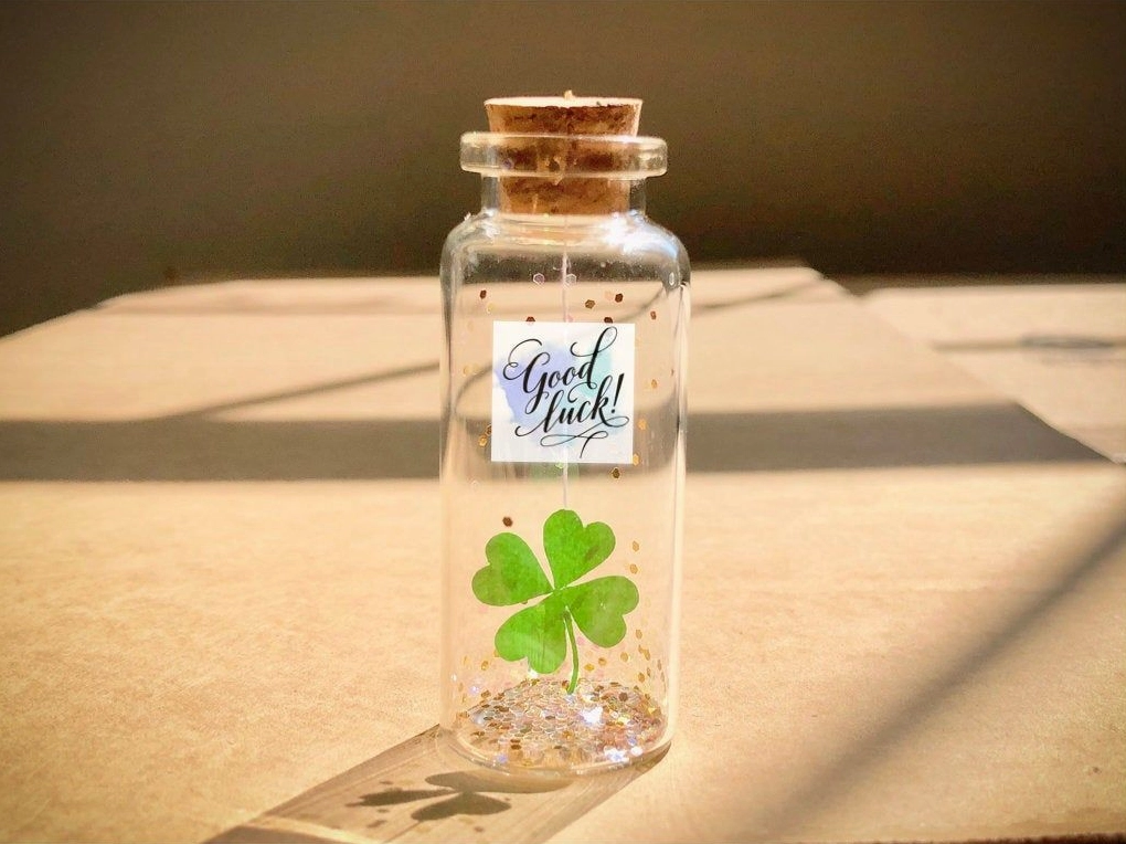 Bộ Sưu Tập Hình Nền Cỏ 4 Lá Tuyệt Đẹp Đong Đầy May Mắn 6 Ảnh bình cỏ 4 lá may mắn trong chậu nhỏ xinh