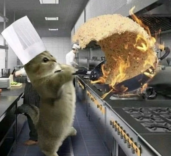 ảnh chế meme mèo bựa đang liếc nhìn bằng ánh mắt đầy dò xét