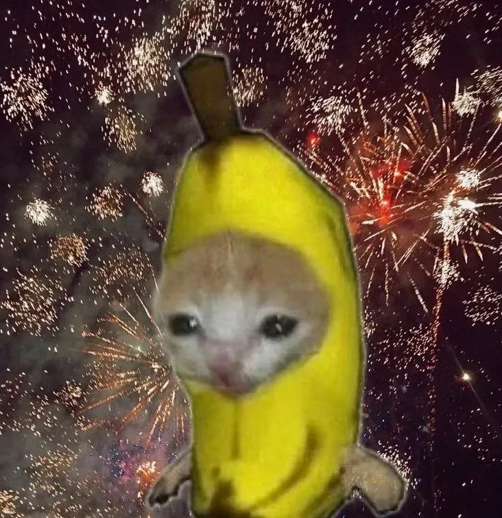 Ảnh chế mèo lì xì với khuôn mặt quyết tâm, tay ôm chặt phong bao