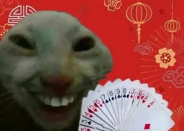 Ảnh chế mèo lì xì với khuôn mặt thất thần, như vừa mất hết tiền