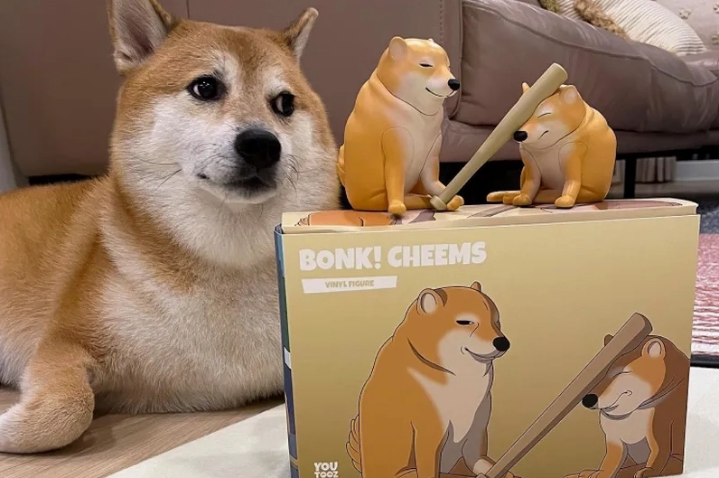 Cận cảnh bộ sưu tập ảnh cheems meme hài hước và gây cười nhất 3 Ảnh chó Cheems meme với vẻ mặt buồn rầu đáng yêu